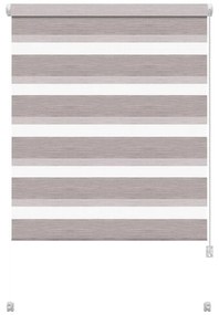 Jaluzea taupe zi/noapte 42,5x150 cm Zebra Silvalin – Gardinia