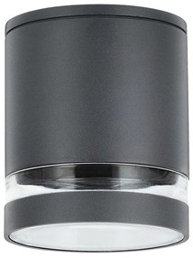 Spot aplicat pentru iluminat exterior design modern IP54 Zombor antracit 10,2cm