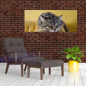 Tablou cu pisica pe fotoliu (120x50 cm)