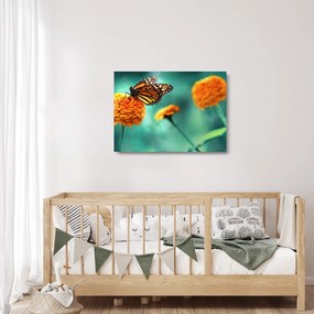 Tablou pe sticlă cu fluture (70x50 cm)