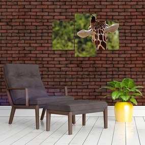 Tablou cu girafă din spate (90x60 cm)