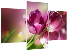 Tablou cu lalele roz (90x60 cm)