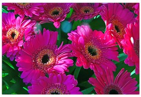Tablou - floare (90x60 cm)