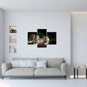 Tablou - Tigrii frați (90x60 cm)