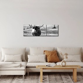 Tablou - Vacă,alb-negru (cu ceas) (90x30 cm)