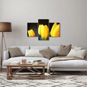 Tablou cu lalele (90x60 cm)