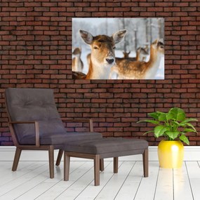 Tablou - Cerbi (90x60 cm)