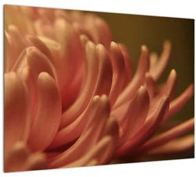 Tablou cu detailu florii (70x50 cm)