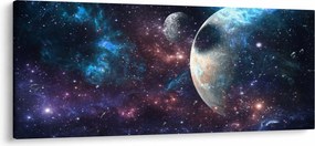 Tablou cu cosmos (120x50 cm)