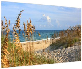 Tablou - Plajă (90x60 cm)