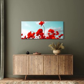 Tablou - Câmp cu flori roșu deschis (120x50 cm)