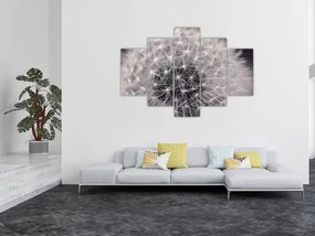 Tablou cu păpădie (150x105 cm)