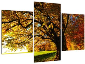 Tablou cu toamna (90x60 cm)