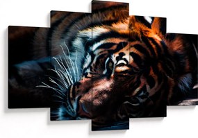 Tablou cu tigrul dormind (150x105 cm)