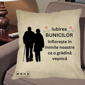 Cadou pentru Bunici - Perna Personalizata Bunicii Iubirea Infloreste Silueta Neagra Flori, 40x40 cm, Crem, Husa Detasabila, Perna Inclusa, BEKZ®