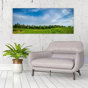 Tablou cu luncă (120x50 cm), în 40 de alte dimensiuni noi