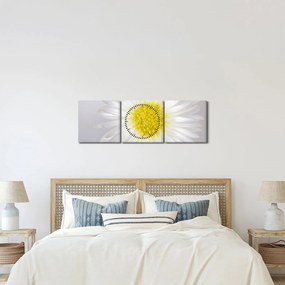 Tablou - Margarita (cu ceas) (90x30 cm)