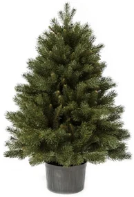 Pom de Crăciun 3D Mini Pin 100 cm în ghiveci