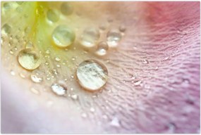 Tablou - Picături (90x60 cm)