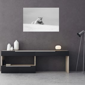 Tablou - Ursul polar (90x60 cm)