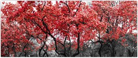 Tablou - Copacii roșii, Central Park, New York (120x50 cm)