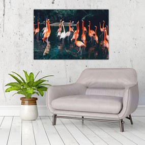 Tablou - turmă de flamingo (90x60 cm)