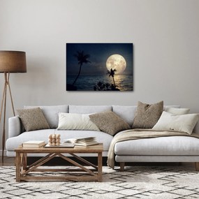 Tablou - Plaja cu lună plină (70x50 cm)