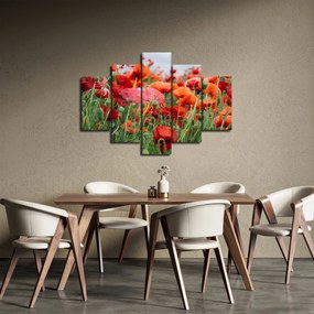 Tablou din câmp cu maci (150x105 cm)