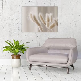 Tablou - Cozi de iepure (70x50 cm)