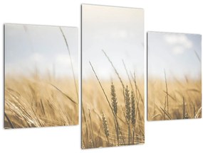 Tablou cu grâne (90x60 cm)