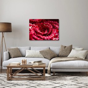 Tablou cu floarea trandafirului roșu (70x50 cm)