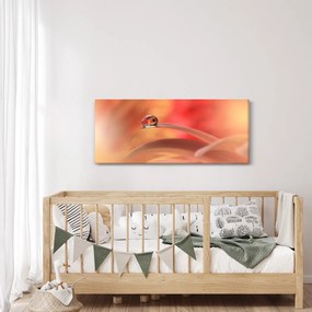 Tablou picăturii de rouă pe floare (120x50 cm)