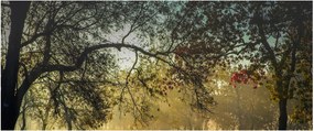 Tablou cu răsărit de soare (120x50 cm)