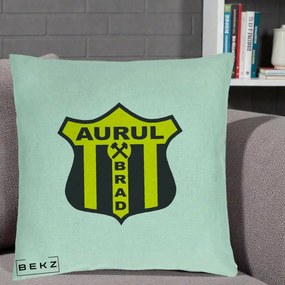 Perna Personalizata Aurul Brad Fotbal, 40x40 cm, Verde Menta, Husa Detasabila, Perna Inclusa, BEKZ®