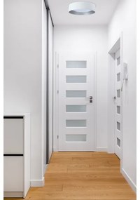 LED Plafonieră GALAXY 24W 230V alb/argintiu