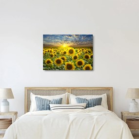 Tablou pe sticlă - Floarea-soarelui la apus de soare (70x50 cm)