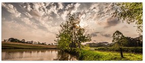 Tablou naturii cu raze de soae (120x50 cm)