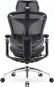 Scaun Ergonomic SIHOO Doro C300 Pro M101, Suport Lombar Adaptiv Inteligent, Spătar Reglabil pe Înălțime, Tetieră 3D, Cotiere 6D PU, Șezut Glisant, Reclinare 135°, Mesh, Negru