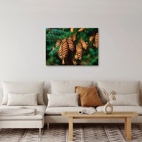 Tablou cu con de brad (70x50 cm)