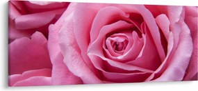 Tablou cu trandafir (120x50 cm)
