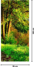 Fototapet pentru ușă - Cărarea de-a lungul apei (95x205cm)