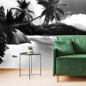 Fototapet plajă pe insula Seychelles în alb-negru