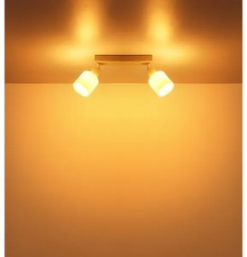 Globo 54114-2 - Spot TRENT 2xE14/25W/230V