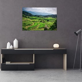 Tablou cu câmp de orez (90x60 cm)