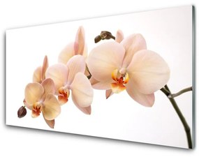 Tablouri acrilice Flori Floral Alb Brun