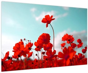 Tablou - Câmp cu flori roșu deschis (90x60 cm)