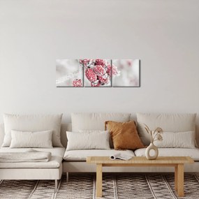 Tablou - Fructe congelate (cu ceas) (90x30 cm)