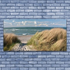 Tablou pe sticla Marea potecă Iarbă Peisaj Maro Albastru Verde