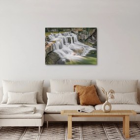 Tablou cu cascade (70x50 cm)