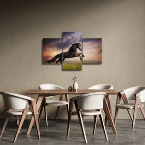 Tablou - Cai (90x60 cm)
